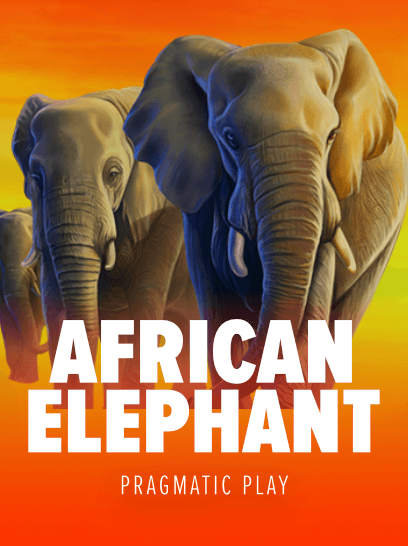 African Elephant™